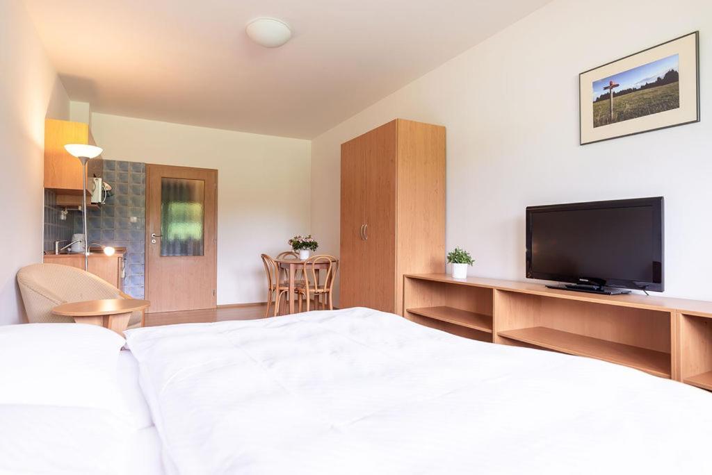 Apartmany Engadin Boží Dar Εξωτερικό φωτογραφία